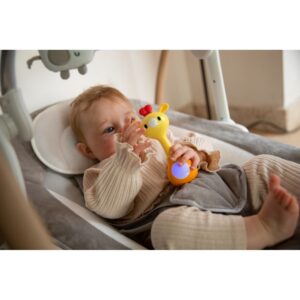 B925700_Light & Music Rattle Giraf03